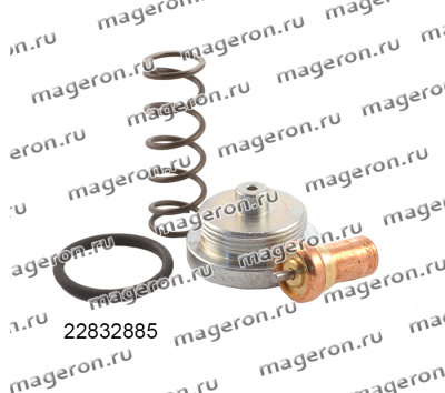 Ремкомплект термостатического клапана 22832885; Ingersoll Rand фото в интернет-магазине Brestor